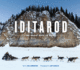 Iditarod: the Great Race to Nome