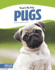 Pugs (That's My Dog (Library Bound Set of 8))