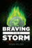 Braving the Storm: Volume 4