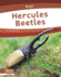 Hercules Beetles (Bugs: Focus Readers, Pioneer Level)