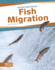 Fish Migration (Animal Migrations)