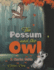 The Possum and the Owl