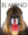 El Mono (Planeta Animal/ Amazing Animals) (Spanish Edition)