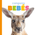 Canguros Bebs/ Baby Kangaroos (El Principio De Los/ Starting Out) (Spanish Edition)