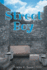 Street Boy