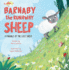 Barnaby the Runaway Sheep: A Parable of the Lost Sheep