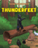 Thunderfeet