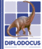 Diplodocus