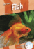 Fish Pet Care Dash, Level 1