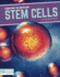 Stem Cells Engineering the Human Body