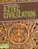 Aztec Civilization (Civilizations of the World)