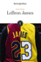 Lebron James (Public Profiles)