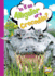Is It an Alligator Or a Crocodile? (Can You Tell the Difference? )