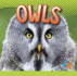 Owls (Awesome Animal Lives)