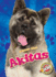 Akitas (Awesome Dogs: Blastoff! Readers, Level 2)