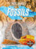 Fossils (Rocks & Minerals)