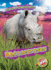 Rhinoceroses