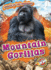 Mountain Gorillas (Animals of the Mountains: Blastoff! Readers, Level 2)
