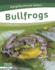 Bullfrogs Neighborhood Safari