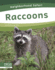 Raccoons Neighborhood Safari