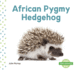 African Pygmy Hedgehog Mini Animals