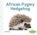 African Pygmy Hedgehog (Mini Animals)