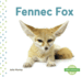 Fennec Fox Mini Animals