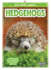 Hedgehogs Wild About Animals