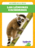 Los Lmures Cachorros/ Lemur Pups
