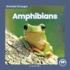 Animal Groups: Amphibians (Animal Groups: Little Blue Readers, Level 1)