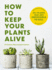 How to Keep Your Plants Alive