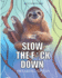 Slow the f*ck down Swearing sloths: Cursing Animals Coloring Book