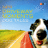 Npr Driveway Moments Dog Tales: Radio Stories That Won't Let You Go (the Npr Driveway Moments Series)