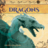 Discover Dragons (Magic, Myth, and Mystery Express)