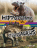 Hippopotamus vs. Stegosaurus