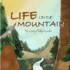 Life on the Mountain