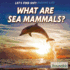 What Are Sea Mammals? (Let's Find Out! )