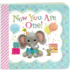 Now You Are One: Children's Board Book (Little Bird Greetings)