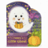Funny Little Ghost-Halloween Ghost-Shaped Board Book