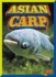 Asian Carp (Invasive Species Takeover)