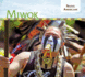 Miwok (Native Americans)