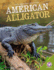 American Alligator (Back From Near Extinction)