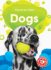 Dogs (Favorite Pets: Blastoff! Beginners)