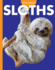 Curious About Sloths (Curious About Wild Animals)