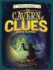 Cavern of Clues: Be a Hero! Create Your Own Adventure to Uncover Black Beard's Gold (Math Quest)