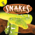 Rourke Educational Media Snakes (Reptiles! )