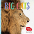 Big Cats: Safari Circle (Touch and Feel) (the Safari Circle)