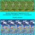 Modern Stereogram Algorithms for Art and Scientific Visualization: A C++ Sourcebook