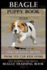 Beagle Puppy Book Training Book for Dogs & Puppies By D! G This Dog Training: Dog Training Begins From the Car Ride Home Easy Training * Fast Results B