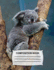 Composition Book: Unruled Blank Sketch Paper-Sketchbook for Kids, Cute Koala Bear Drawing Notebook for School, Journal for Girls, Boys, Students, Teachers Gift, Class and Office Supplies